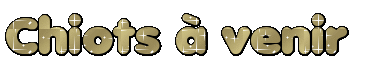 ch59b931c15bdc6