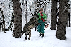 F300 LEO MASTIFF NILS NEIGE FEVRIER 2018 4988 - copie